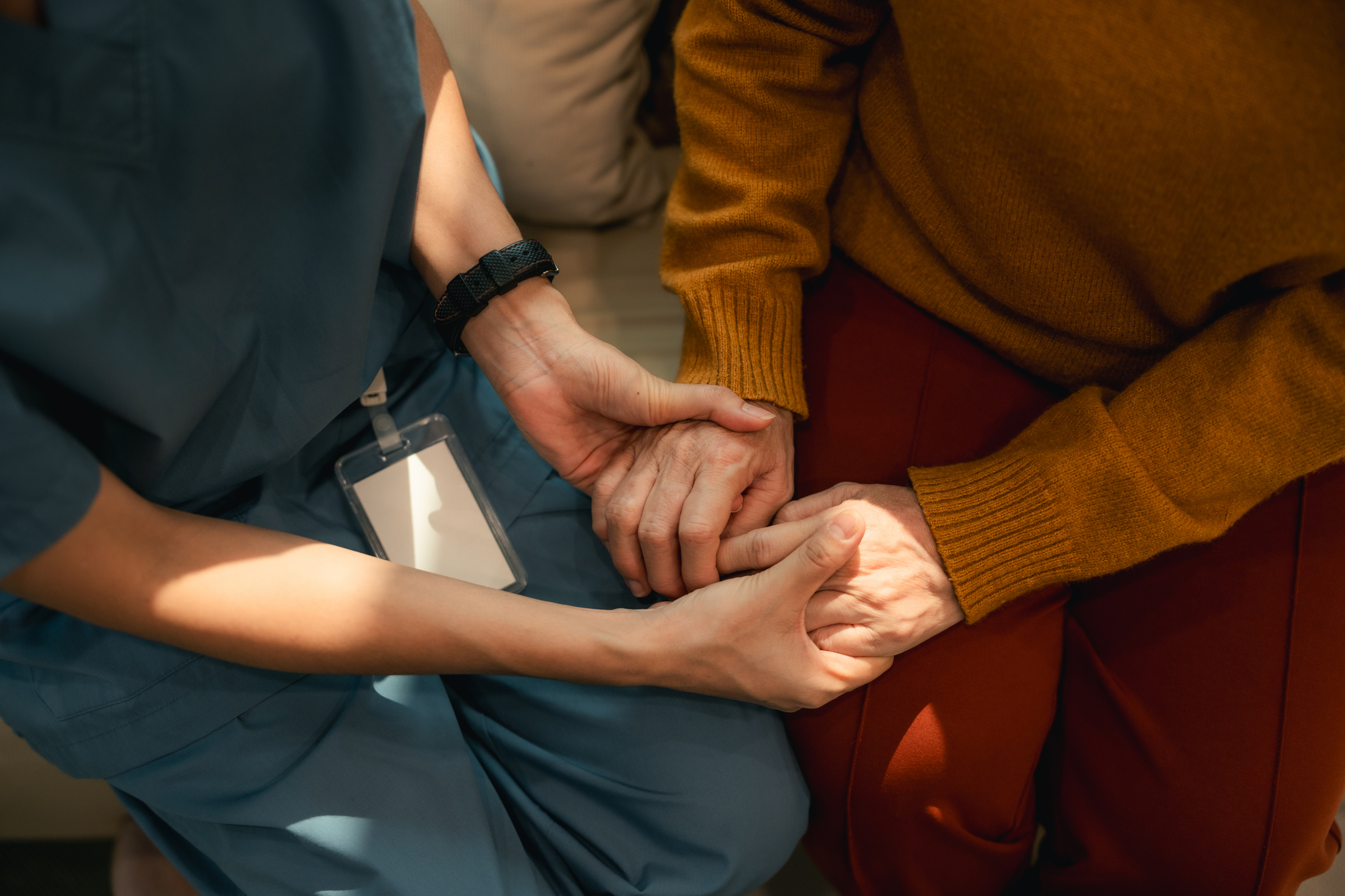 Bloom at Home companion care for older adults